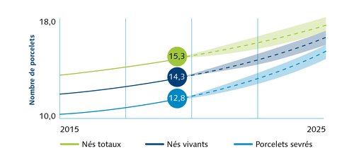 Libra benchmark graph_FR