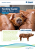 HYPOR Magnus Wean to Finish global metric cover