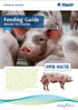 HYPOR Maxter Wean to Finish europe cover
