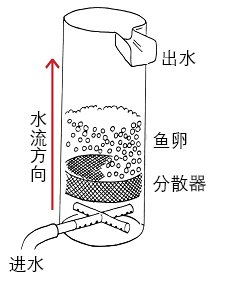 Hatchery Process Article_Basic Diagram of upwelling incubator_chinese.jpg