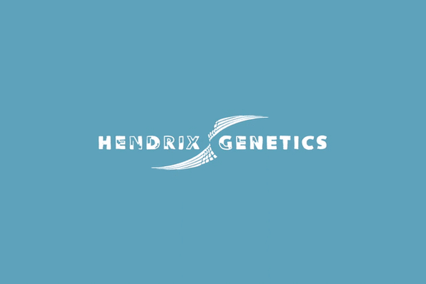 Hendrix Genetics Hypor Biosecurity visitors-low.gif