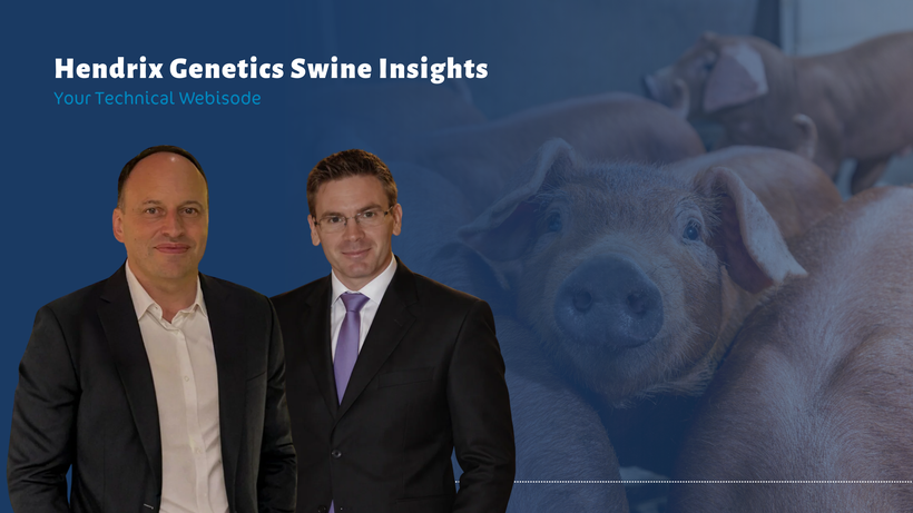 Hendrix Genetics Swine Insights Concludes Its First Season Delivering Free On-Demand Technical Webinars for Pig Professionals
