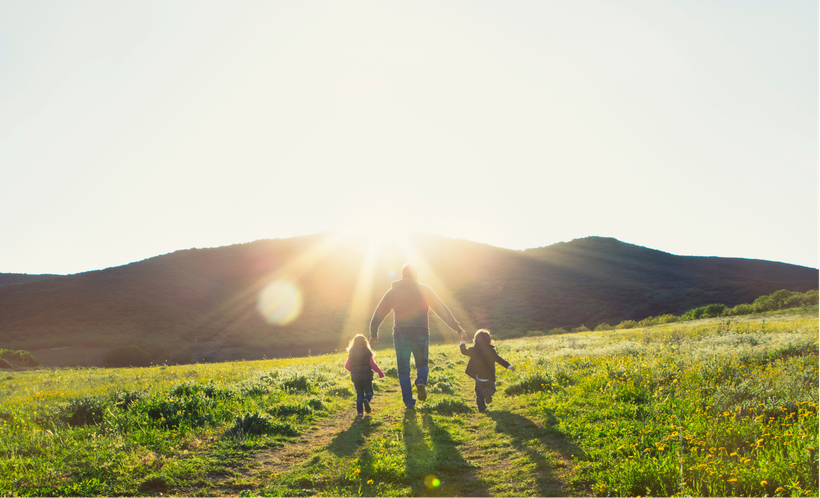 Hendrix Genetics Releases Sustainability Report Highlighting Renewed Strategy and Long-Term Commitment