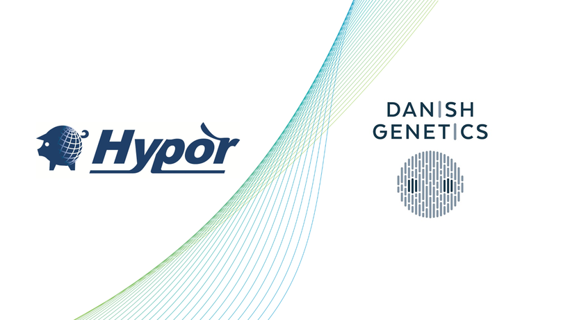 Communiqué de presse : Renforcer l'excellence génétique : Hypor et Danish Genetics fusionnent pour former une alliance stratégique