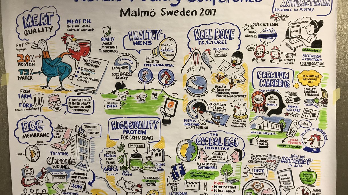 nordic conference drawing 1
