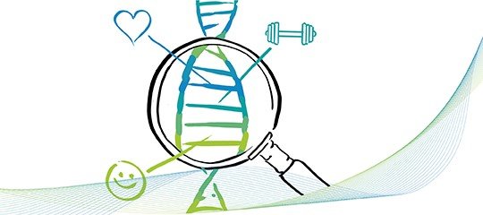 Gene helfen Wissenschaftlern bei der Selektion