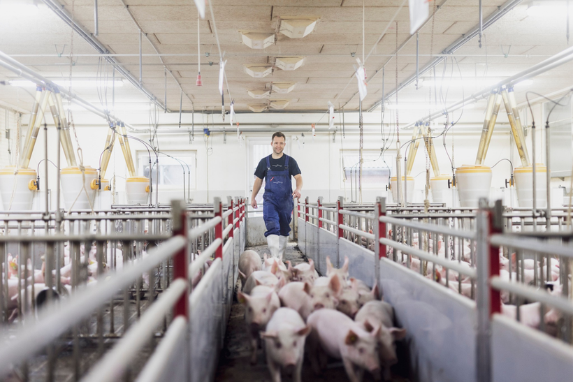 Danish pioneer in robustness and efficiency