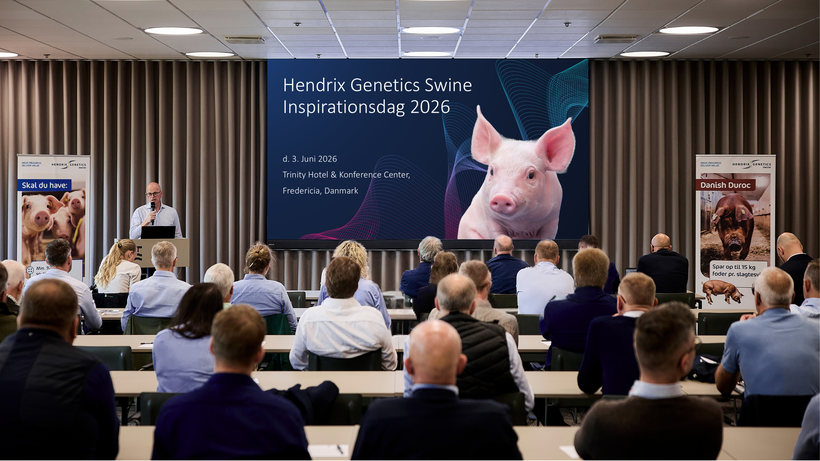 When Politics Meet Production: Looking Back at Our Hendrix Genetics Swine Inspirationsdag in Denmark