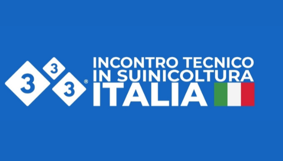 333 - Italia