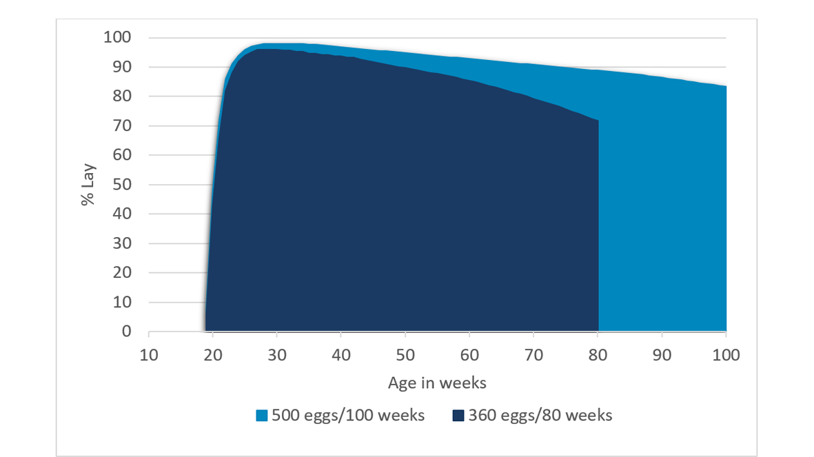 Improvement in egg production and production period length.png