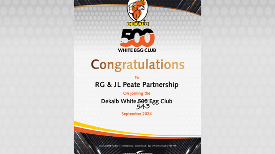 Dekalb White Club