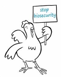 Chicken stop biosecurity