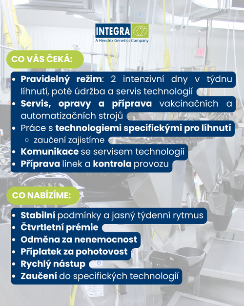 Kopie návrhu inzerát - brigádník údržba (29.7 x 21 cm) (Příspěvek na Instagramu (4  5)) (1)