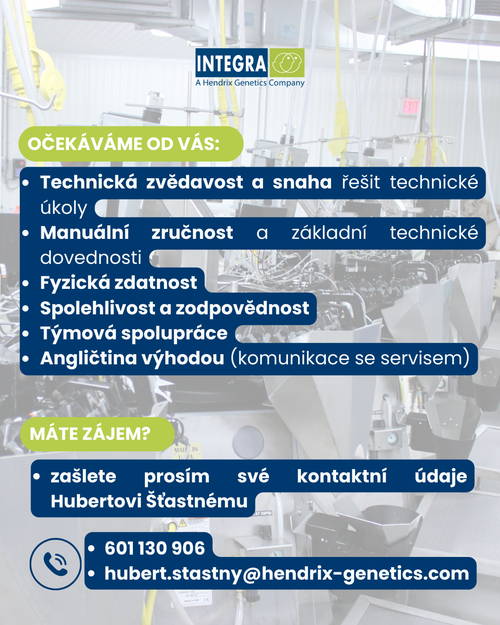 Kopie návrhu inzerát - brigádník údržba (29.7 x 21 cm) (Příspěvek na Instagramu (4  5)) (2)