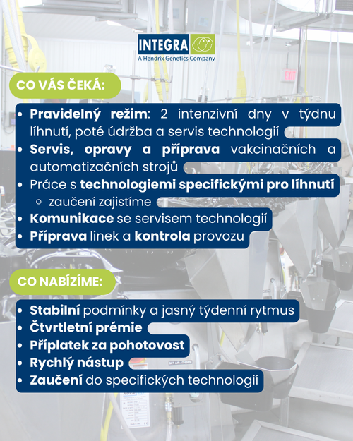 Kopie návrhu inzerát - brigádník údržba (29.7 x 21 cm) (Příspěvek na Instagramu (4  5)) (3)