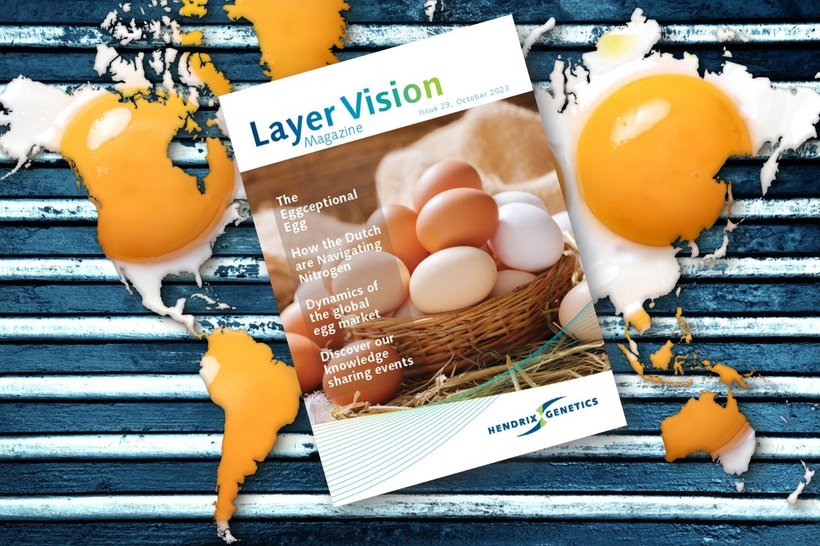 Layer Vision 29 now available to read