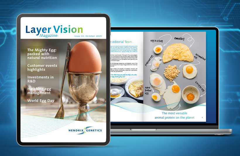 Layer Vision 33 is now available to Download!