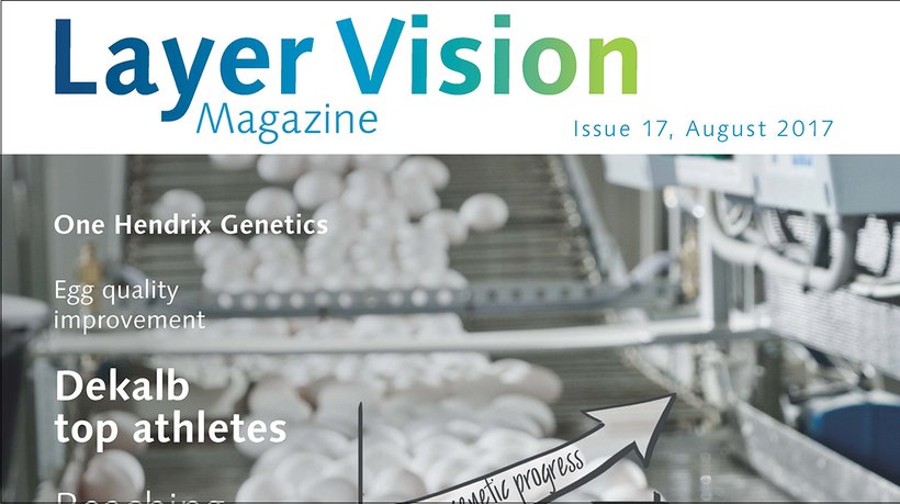 Exciting edition of our magazine "Layer Vision"