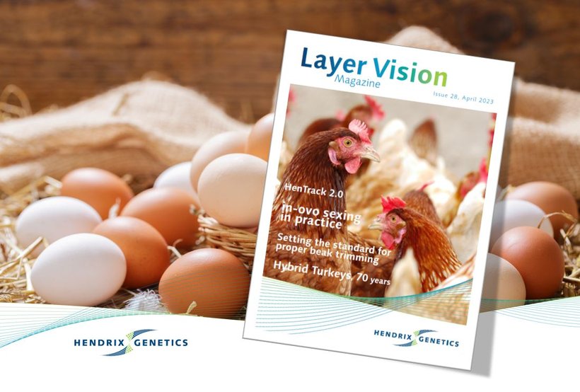 Discover Layer Vision 28