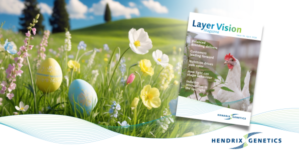 Layer Vision 34 is now available to read!