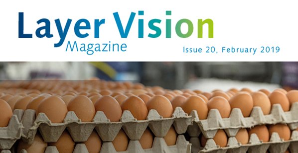 Layer Vision, Issue 20 Now Available