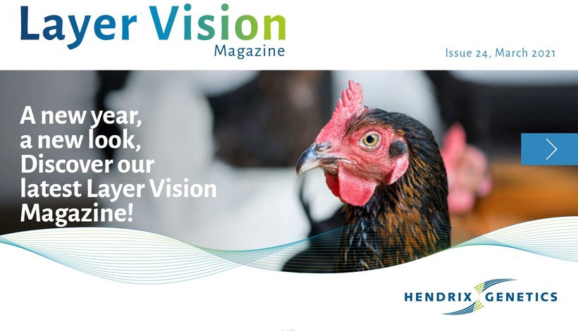 Layer Vision, Issue 24 Now Available