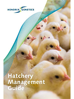 Laying hens hatchery management guide