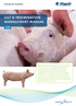 HYPOR Libra Insemination Management cover