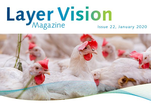 Layer Vision, Issue 22 Now Available