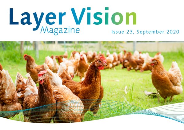 Layer Vision, Issue 23 Now Available