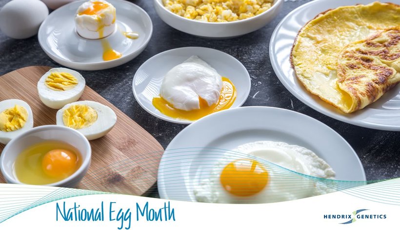 May is national egg month