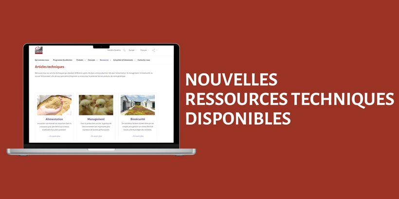 Nouveauté sur notre site web : Découvrez nos nouvelles ressources techniques en ligne