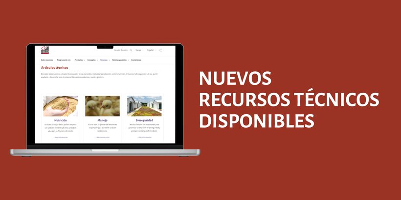 Nuevo en nuestro sitio web: Descubra nuestros nuevos recursos técnicos en línea