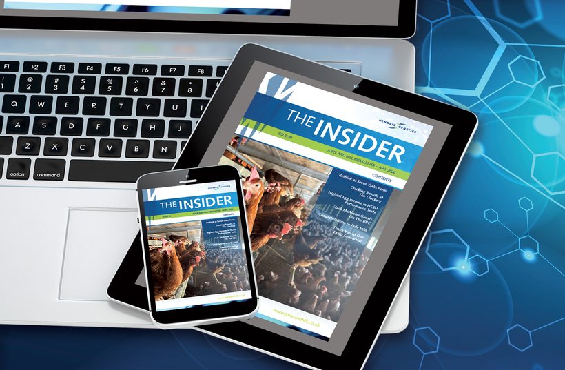 Our Latest Insider Newsletter Is Available to Download!