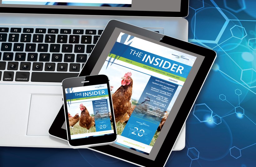 Read Our November Insider Newsletter!
