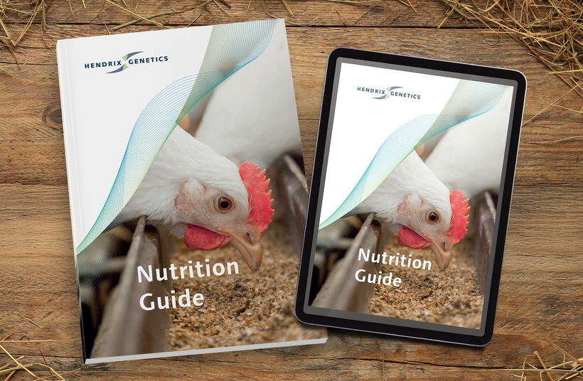 Updated Nutrition Guide 2025 - Designed for Performance, Built on Research