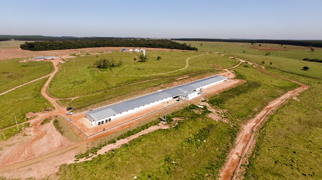brazil new GGP farm