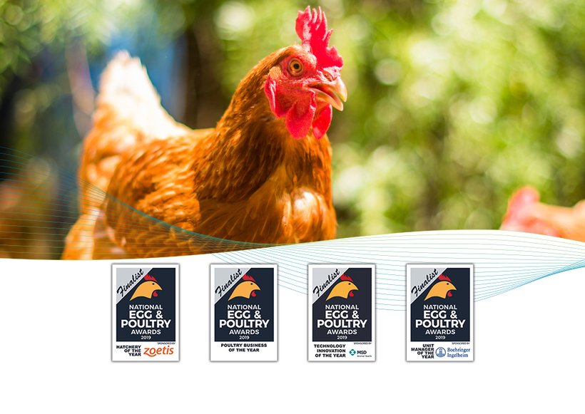 2019 National Egg and Poultry Awards Feature