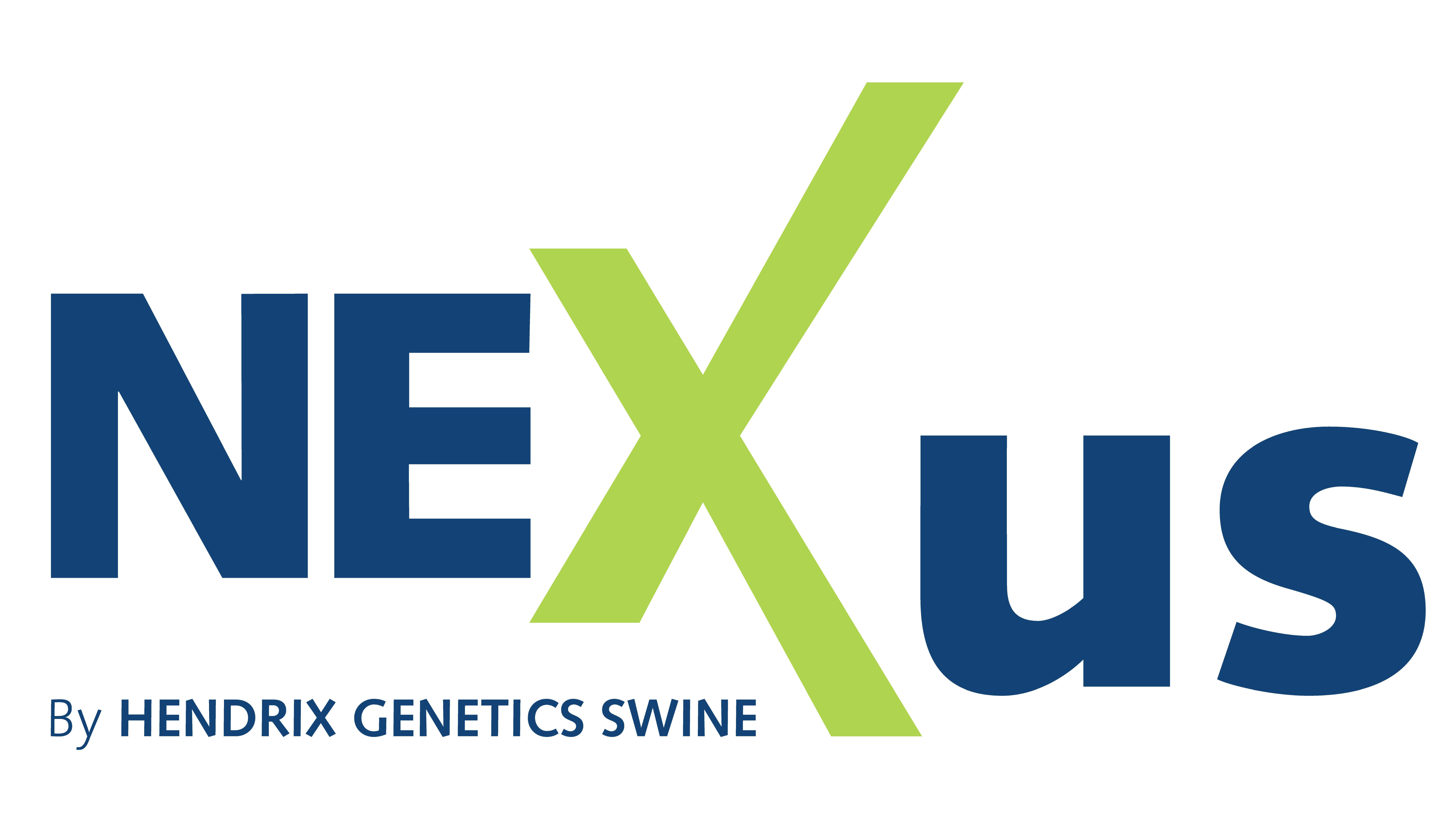 Nexus Logo
