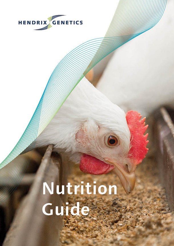 Nutrition Guide 2025 vs1