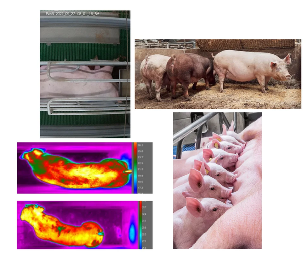 Our Research in Action