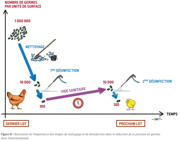 P37_fig57_fr