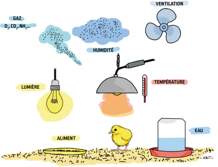 P43_fig59_fr