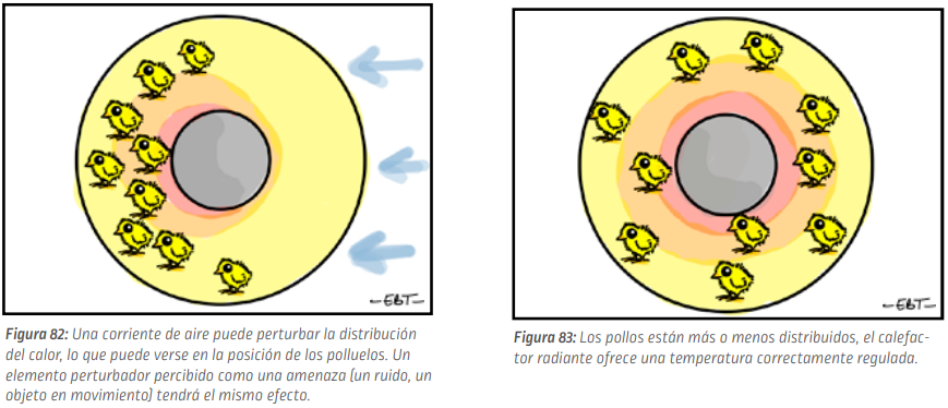 P48_part3_es