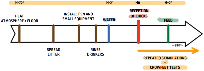 P54_fig101_en