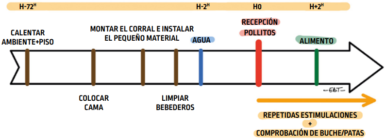 P54_fig101_es