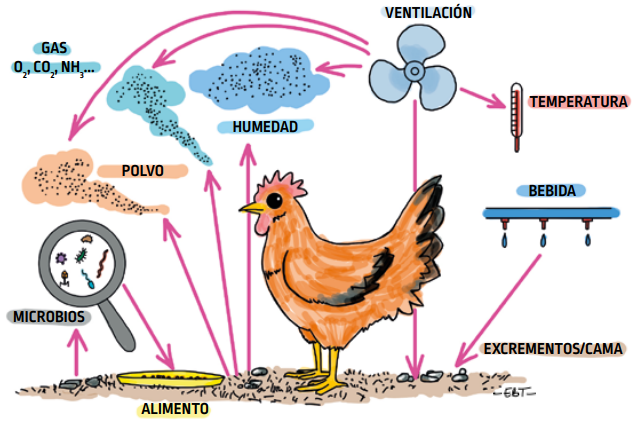 P58_fig102_es