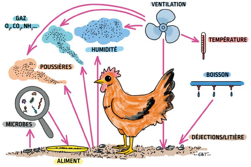 P58_fig102_fr