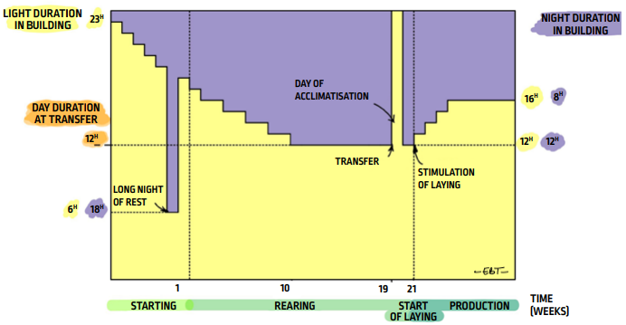 P64_fig111_EN