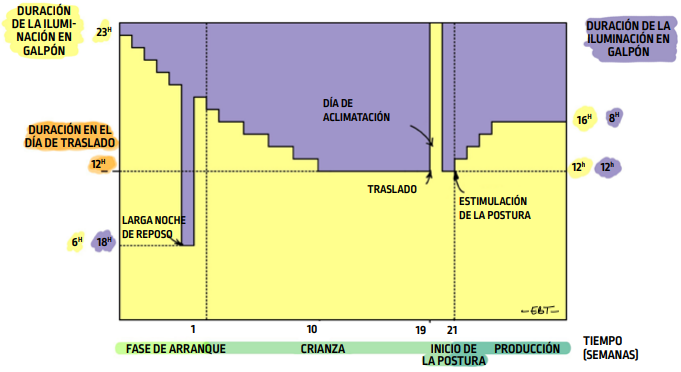 P64_fig111_es